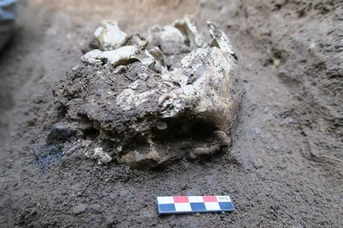 Un crâne d’Amérindien datant de 0 et 300 ans après J.C découvert à...
