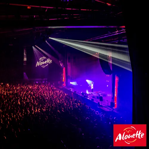 Live Alouette à Niort - 29 novembre 2022