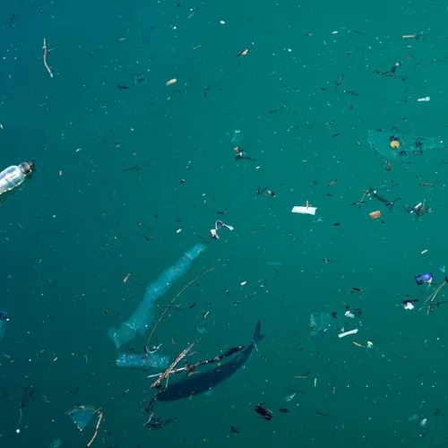 [ Société ] Une pollution importante aux microplastiques touche les...