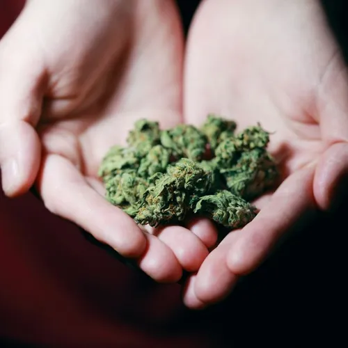 [ Société ] 4 Dealers Arrêtés pour Livraison à Domicile de...