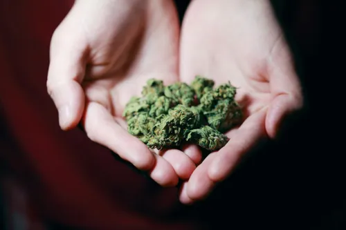 [ Société ] 4 Dealers Arrêtés pour Livraison à Domicile de...