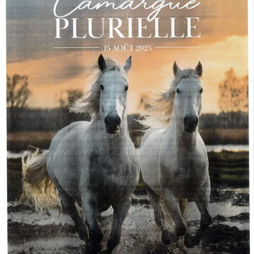 [ Culture - Loisir ] Camargue Plurielle : une immersion festive au...