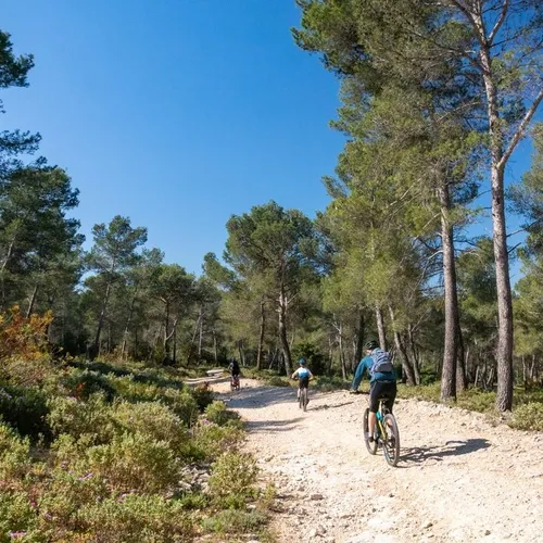 [ Vélo ] Partez à la découverte des Alpilles avec le rallye vélo...