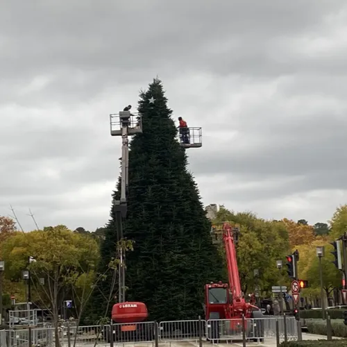 [ Société ] Installation du sapin de Noël géant à Nîmes :...