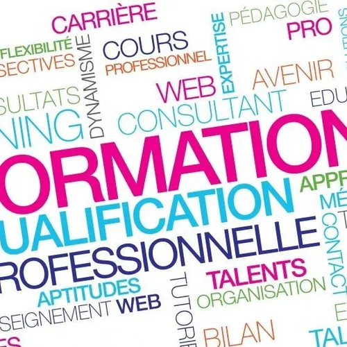 [ Société ] Formation professionnelle en France : Expansion et...