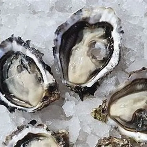 [ Société ] L'Excellence de la Conchyliculture en Camargue