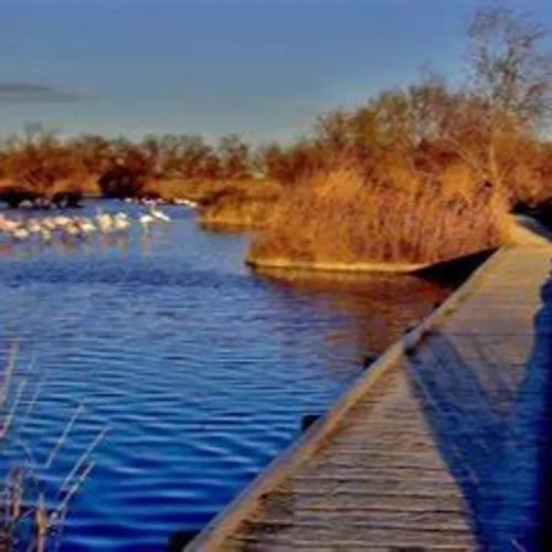 [ Société ]  Le Parc Naturel Régional de Camargue : Un projet pour...