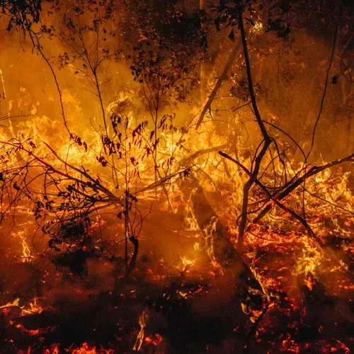 [ PREVENTION ] Prévention des Incendies : Les gestes à adopter 