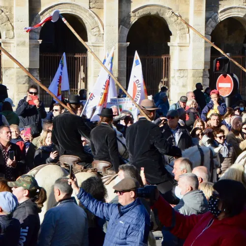 [ TRADITION ] Une mobilisation historique pour défendre les...