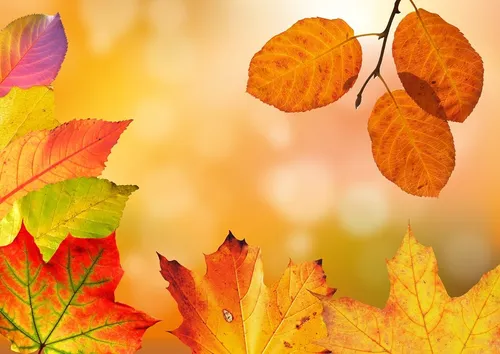[ SOCIETE ]: A Arles, on prépare déjà les vacances d’automne