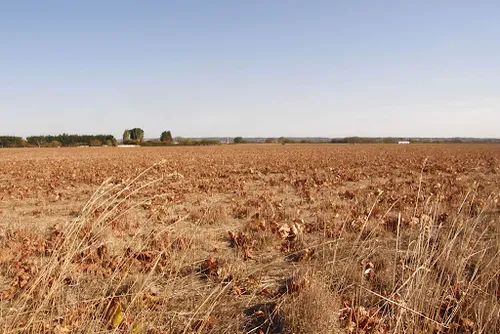 [ CLIMAT-ENVIRONNEMENT ] Rapport du GIEC : quelles conséquences...