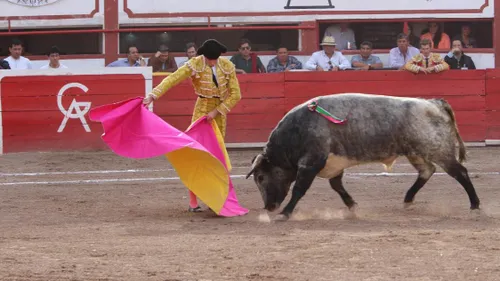[ CULTURE/TRADITION ] Les élus du Sud apportent leur soutien à la...