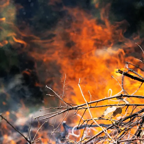 [ PREVENTION ] Incendies en forêt: Météofrance met en place un...