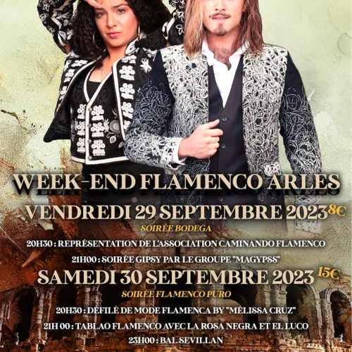 [ LOISIR / CULTURE ] Arles: Vivez un week-end Flamenco exceptionnel...