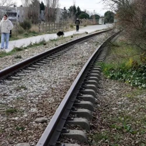 [ POLITIQUE - ARLES ] Promenade verte, gare SNCF, aménagements...