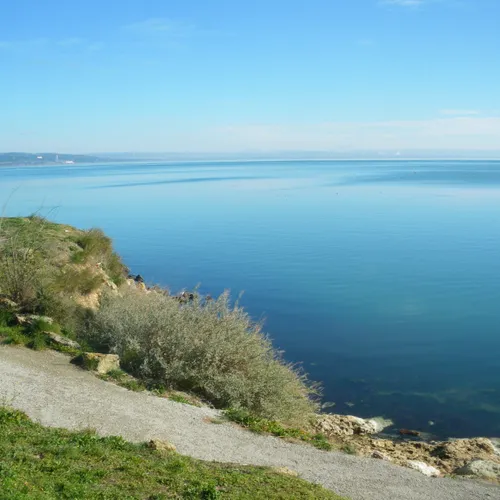 [ Société ] Baignade interdite dans l’étang de Berre après un...