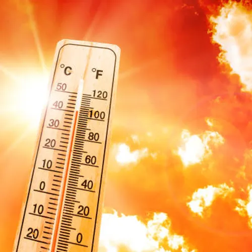 [ SOCIETE ] PLAN CANICULE ACTIVE A ARLES