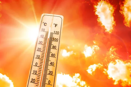 [ SOCIETE ] PLAN CANICULE ACTIVE A ARLES