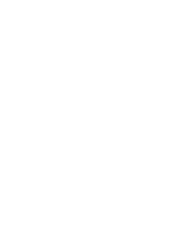 [ Trail ] Nîmes Urban Trail 2025 : 10 ans de passion et d’endurance...