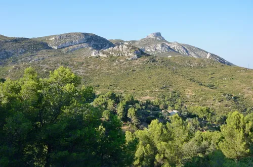 [ ENVIRONNEMENT ] Retour en forêt dans les Bouches-du-Rhône, sous...