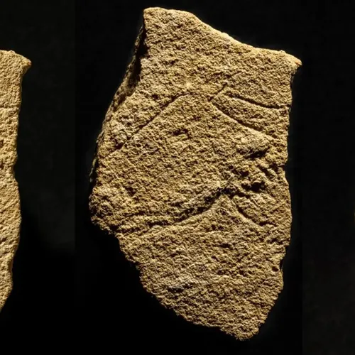 [CULTURE] Camargue : des gravures du paléolithiques découvertes sur...