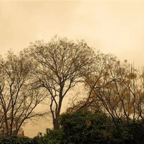 [ ENVIRONNEMENT - PACA ] Pollution aux micro-particules importante...