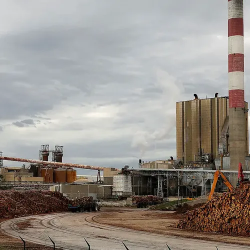 [ ECONOMIE ] Tarascon : Fibre Excellence sauve son usine