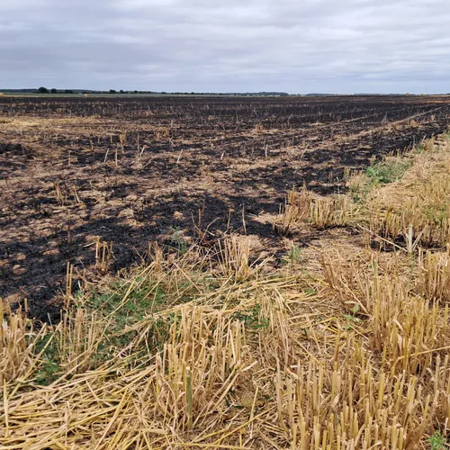 Près de 10 hectares de cultures partent en fumée