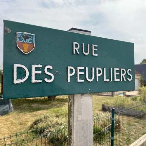 🔊 Le hameau où les rues prennent racine