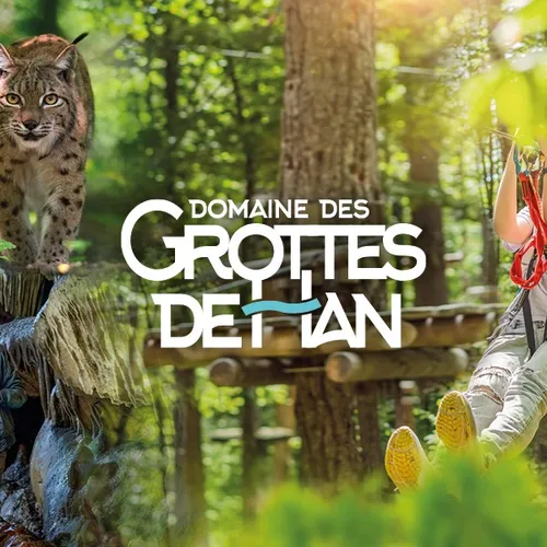 L’accrobranche "Tree Experience" : la nouvelle aventure du Domaine...