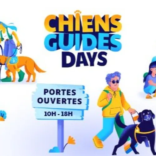 L’invité du jour : on vous dit tout sur les Chiens Guides de l'Est