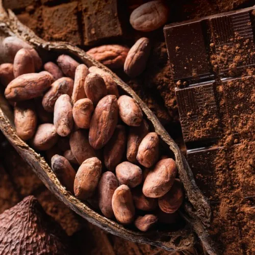 L'invité du jour : On vous dit tout sur l'exposition "Le chocolat"...