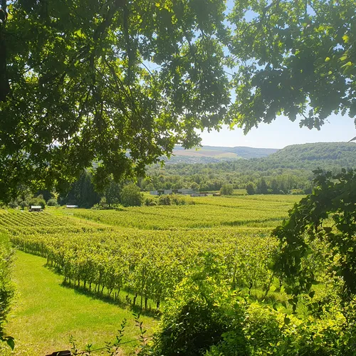 L’invité du jour : on vous dit tout sur le domaine « Les Béliers »...