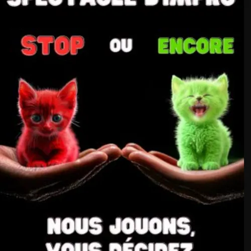 L'invité du jour : On vous dit tout sur "Stop ou encore"