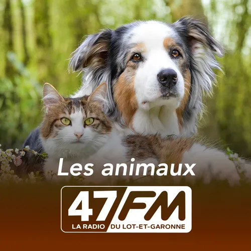 Les animaux 47 FM du 14-04-2023