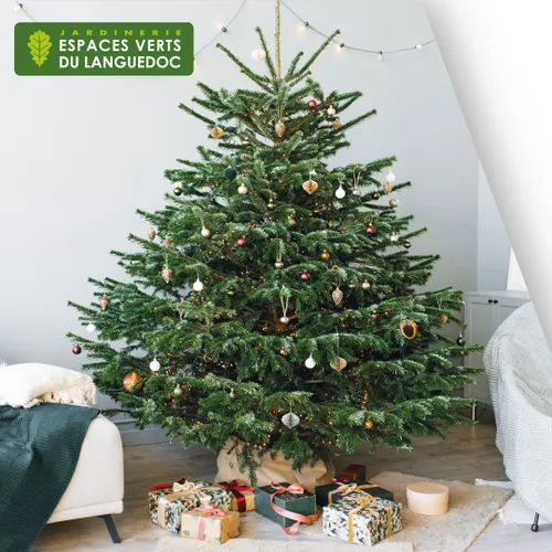 Gagnez votre sapin Nordmann et votre carte-cadeau