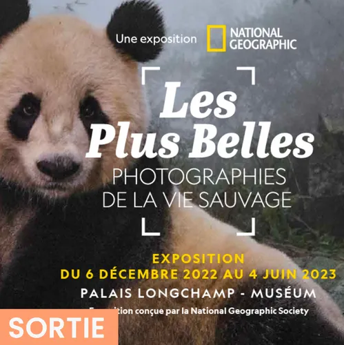 Marseille : découvrez les plus belles photos de la National Geographic