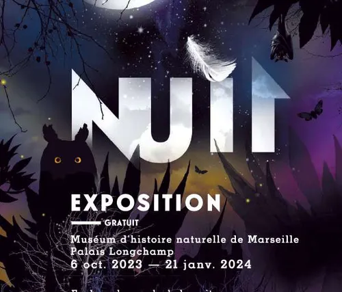 Marseille : découvrez l'exposition interactive "Nuit'