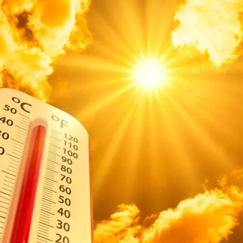 26/01/24 : Records de chaleur dans les Alpes Maritimes