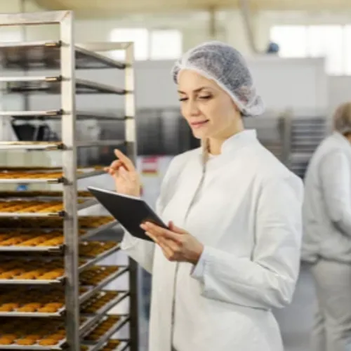 Contrôleur qualité H/F - Rosheim