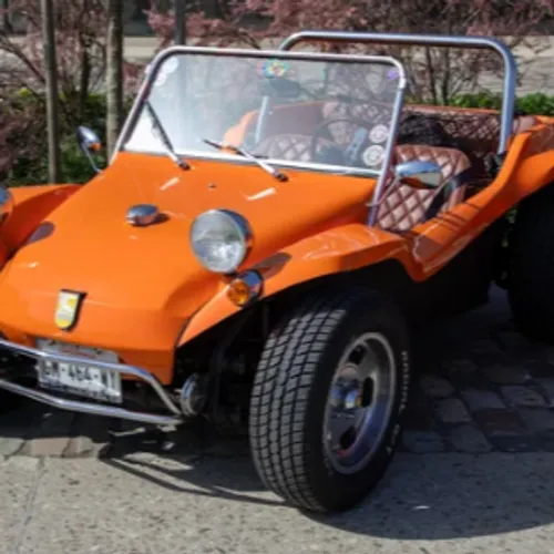 Les Buffalo Buggy, ces voitures alsaciennes des années 1970,...