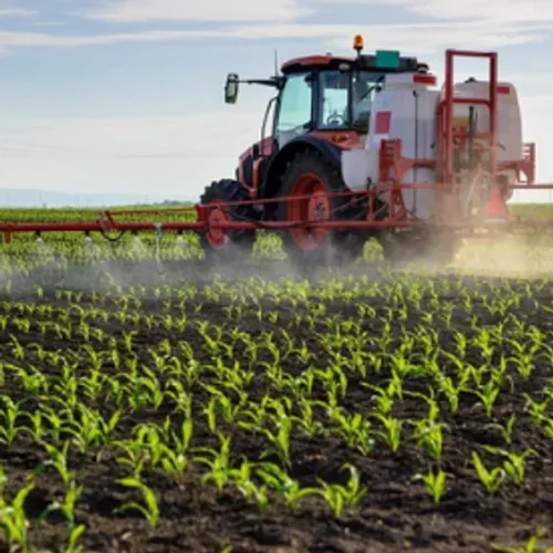 Continuer à manger local” : un enjeu majeur selon un agriculteur...