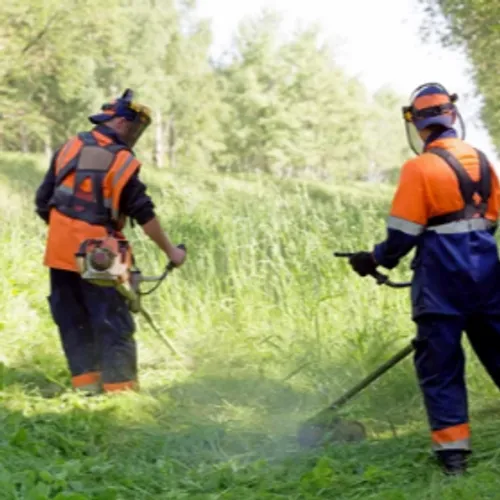 Ouvrier paysagiste création H/F - Marmoutier