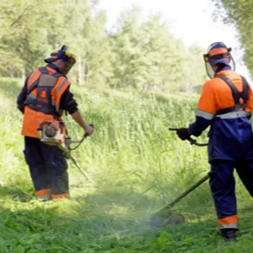 Ouvrier paysagiste H/F - Wasselonne