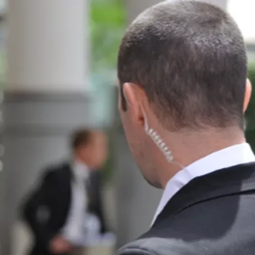 AGENT DE SECURITE - CONTROLEUR(EUSE) AUX ENTREES SSIAP - Ribeauvillé