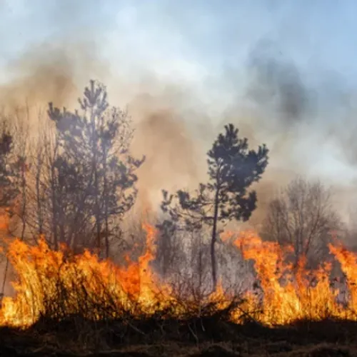 Incendies en Grèce