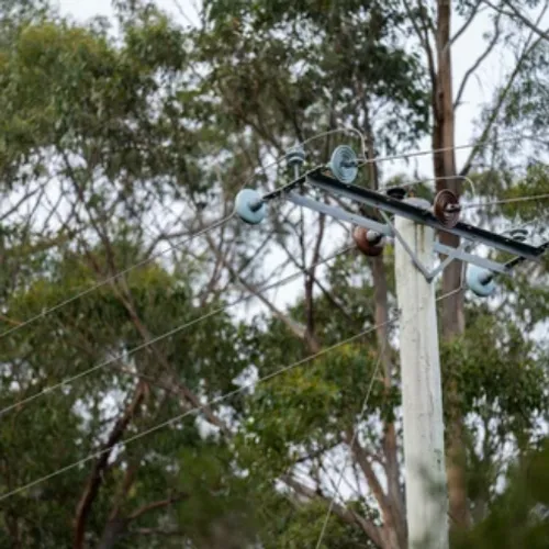 A Spechbach, un arbre tombe sur une ligne haute tension et prive de...