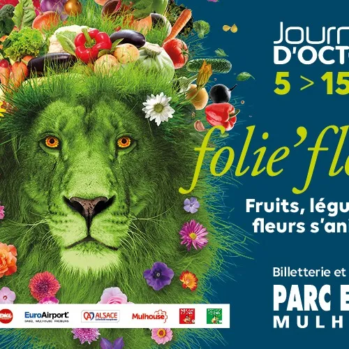 Les Journées d'Octobre arrivent à Mulhouse prochainement