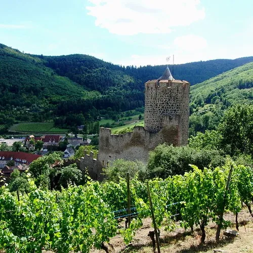 Kaysersberg : un mapping sur le château fait renaître le passé du lieu