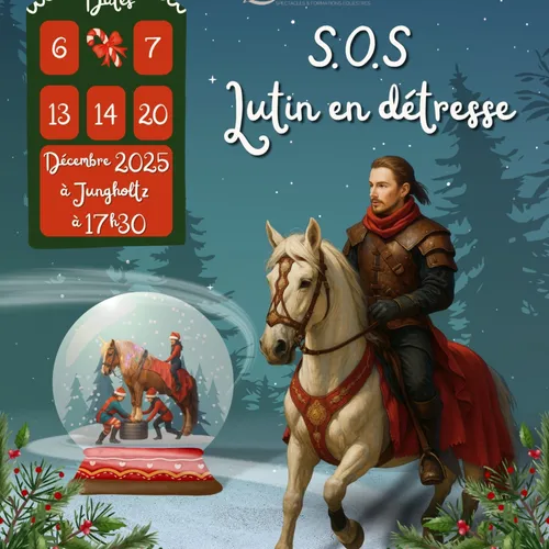 JUNGHOLTZ : conte équestre de Noël spectaculaire 